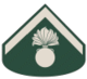 Army-KBA-OR-08a.png