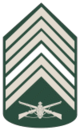Army-KBA-OR-11KF.png