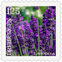 Datei:Briefmarke Lavendel.png
