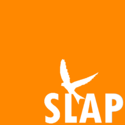 Datei:SLAP.png
