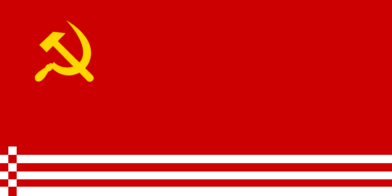 Datei:Flagge der Freien Räterepublik Nemerb.png