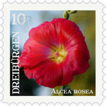 Datei:Briefmarke Stockrose.png