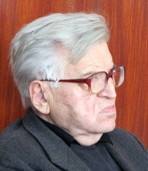 Datei:Radovan Radenkovic.jpg