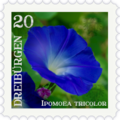 Briefmarke Prunkwinde.png