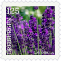 Briefmarke Lavendel.png