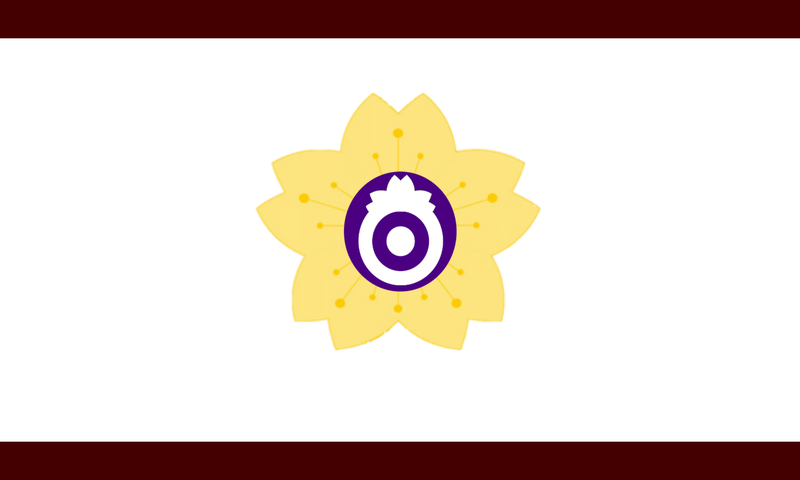 Datei:FlaggeSaizu.png