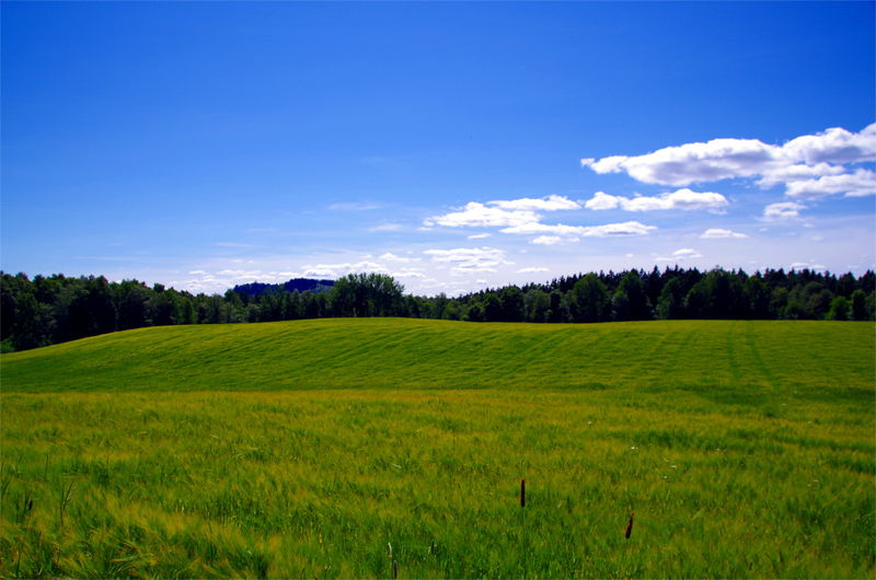 Datei:Cranacher Becken.jpg