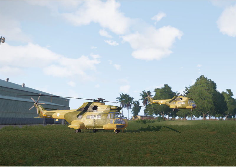 Datei:Grenada Puma.jpg