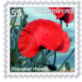 Briefmarke Papaver.png
