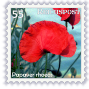 Roter Klatschmohn (55 Rpf) 2014-2017