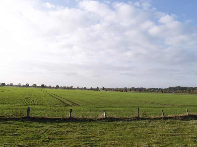 Datei:Nederer Land Marsch.jpg