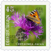 Wiesen-Flockenblume (45 Rpf) 2017-2018