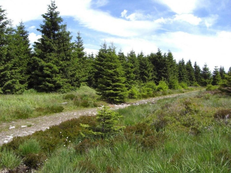 Datei:Atlas Gebirge Wanderweg.jpg