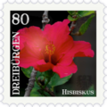 Briefmarke Hisbiskus.png
