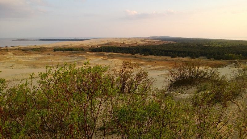 Datei:Suco Nehrung.jpg