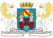 Wappen-Salzmuenden.png