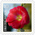Briefmarke Stockrose.png