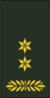 Oberstleutnant.png
