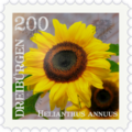 Briefmarke Sonnenblume.png
